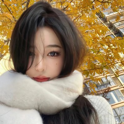 挎斗摩托车里的狗